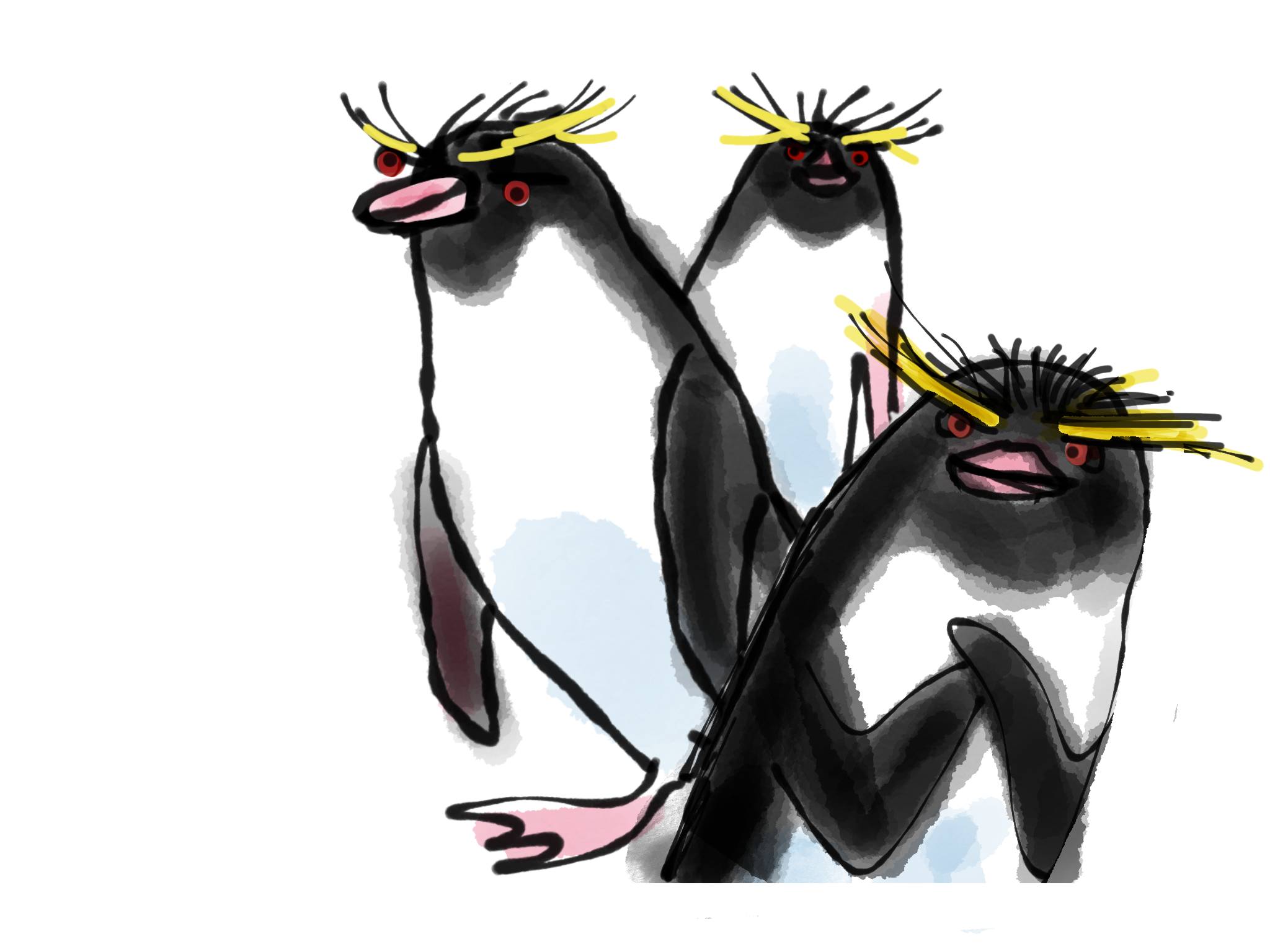 Penguins – Macaroni